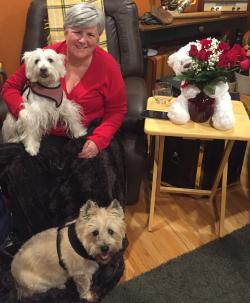 Fundraising Page Image